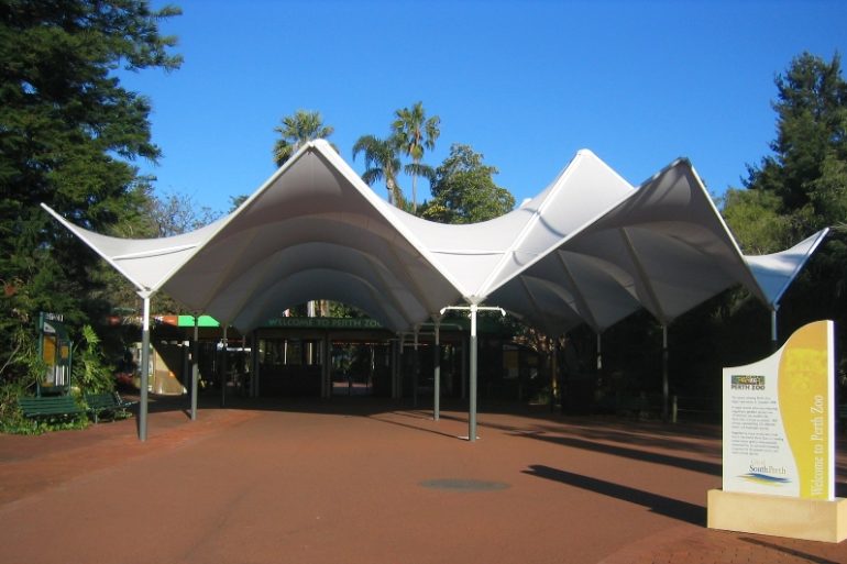 Perth Zoo Tree Transplants